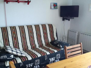 2 pièces au pied des pistes avec balcon et coin cuisine, animaux admis - FR-1-557-66